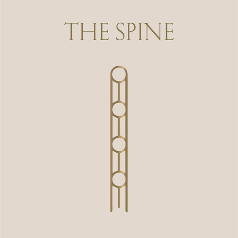Spine